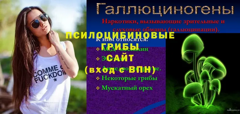 Галлюциногенные грибы мицелий  блэк спрут ССЫЛКА  Кувандык  это телеграм  закладка 